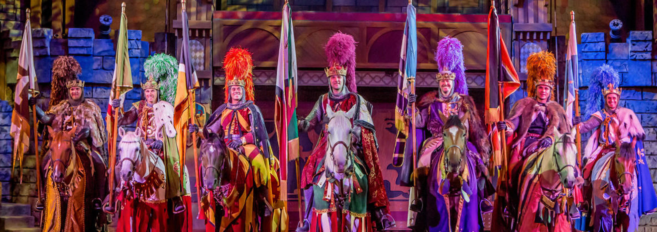 Tournament of Kings Knights and Horses