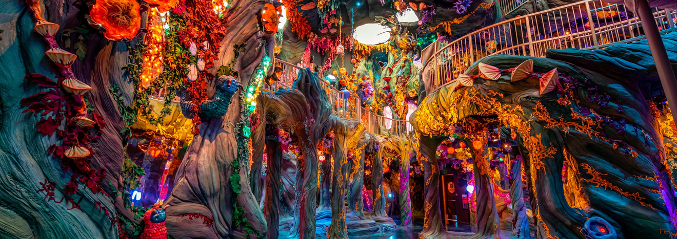 Meow Wolf Las Vegas Wooded Explore