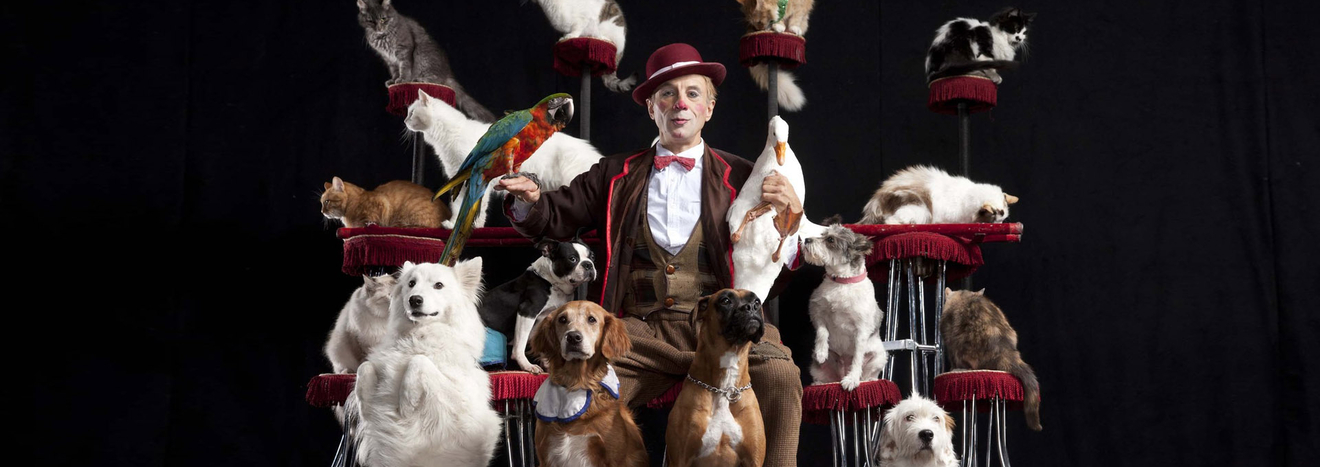 Popovich Comedy Pet Theater Las Vegas Cats Dogs