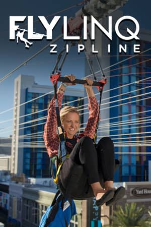 Fly LINQ Zipline Las Vegas Exhibit Vertical