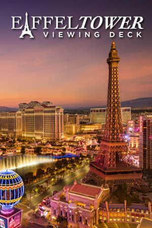 Eiffel Tower Viewing Deck Las Vegas Exhibit Vertical