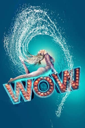 Wow The Vegas Spectacular Show Vertical