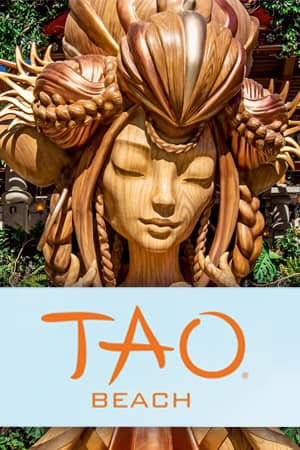 Tao Beach Dayclub Las Vegas Show Vertical