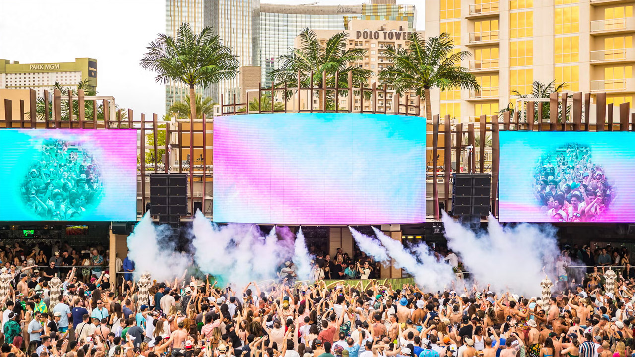 Palm Tree Beach Club Best Shows At MGM Grand Las Vegas