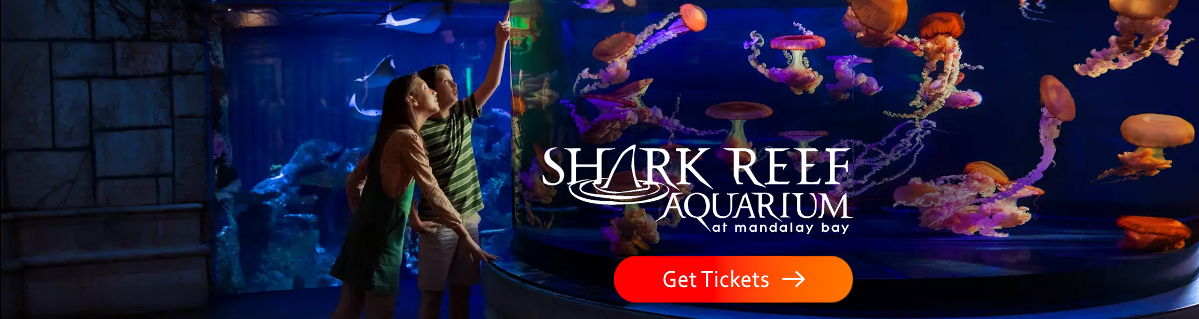 Shark Reef Category Desktop
